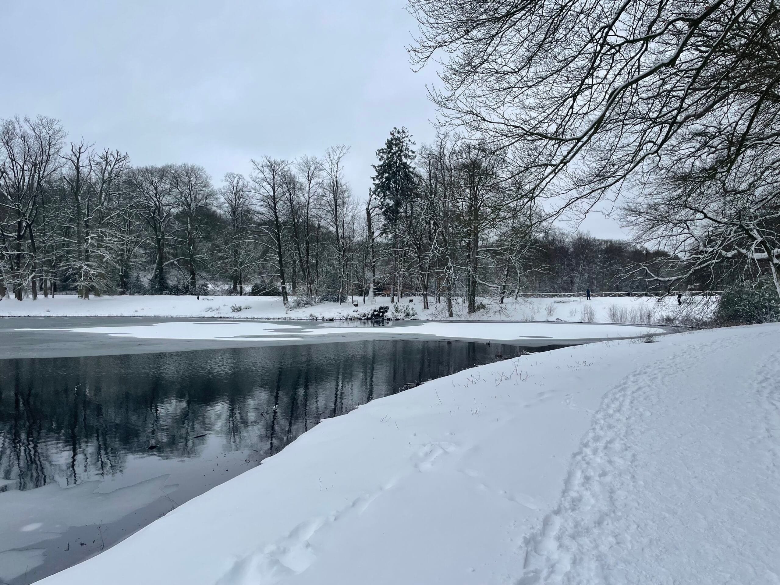 Winters tafereel in Arnhem, Sonsbeek park